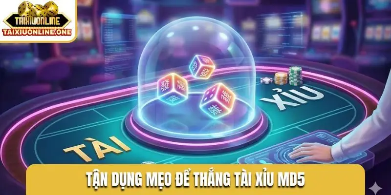 tan dung meo de thang tai xiu md5 Tận dụng mẹo để thắng tài xỉu MD5