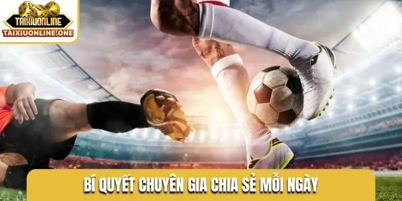 Bí quyết chuyên gia chia sẻ mỗi ngày