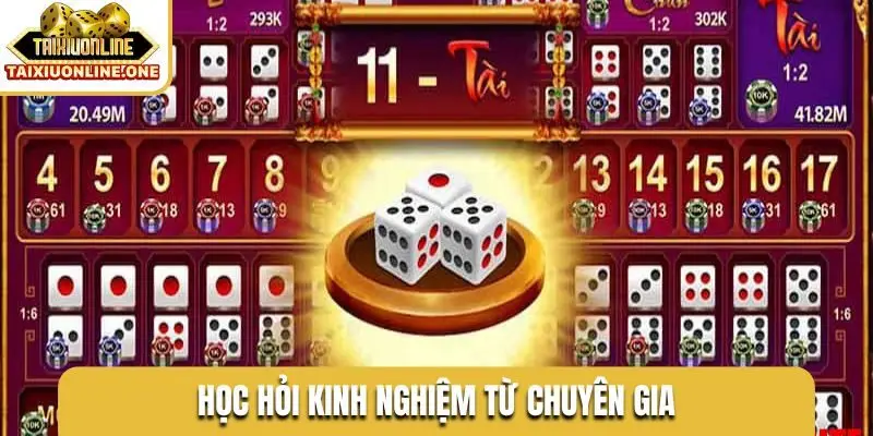 Học hỏi kinh nghiệm từ chuyên gia