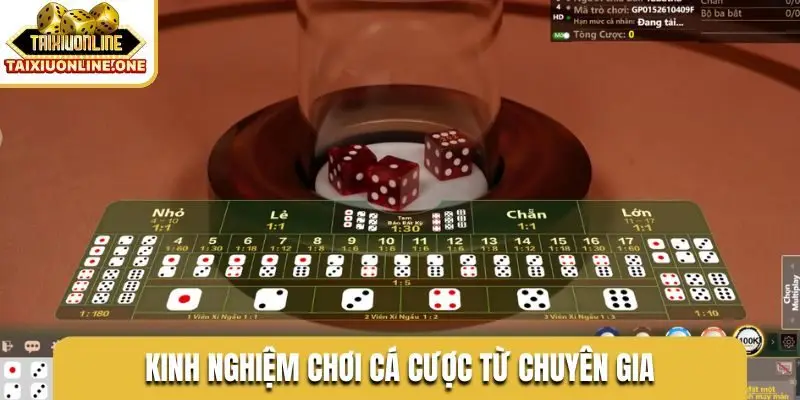 Kinh nghiệm chơi cá cược từ chuyên gia